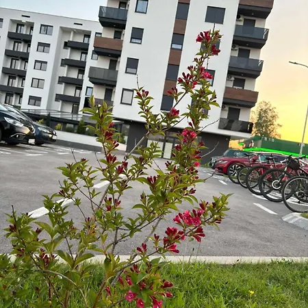 Bjanka *